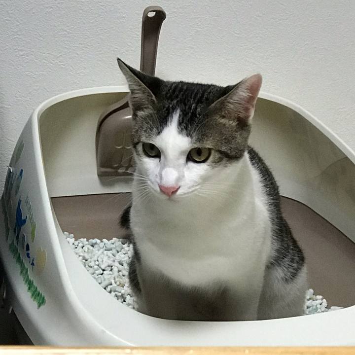 90e32820 70ef 4363 864f ca22fc6d47c0 1538997754298