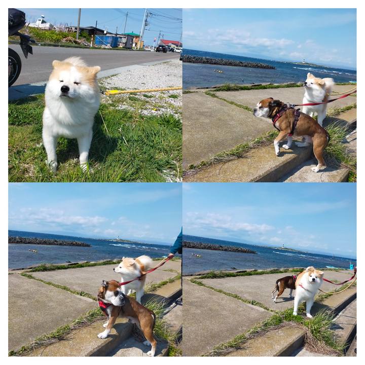 90e328d8 db77 4d02 aea6 f943df3c2480 1653402125060