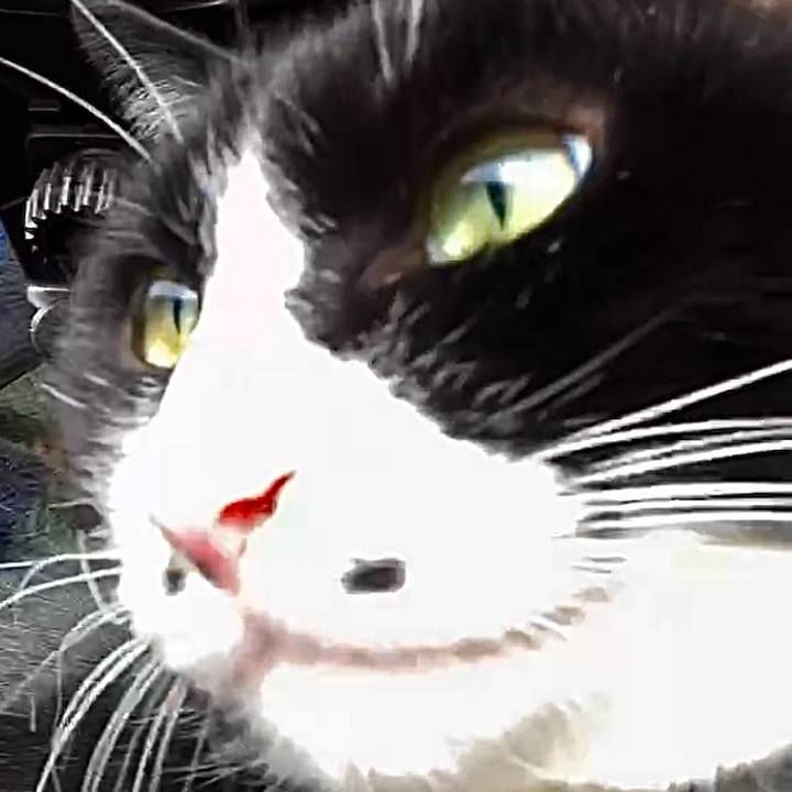 90e37b2b 895d 4672 acdc dd7a33e4086b 1736387126419