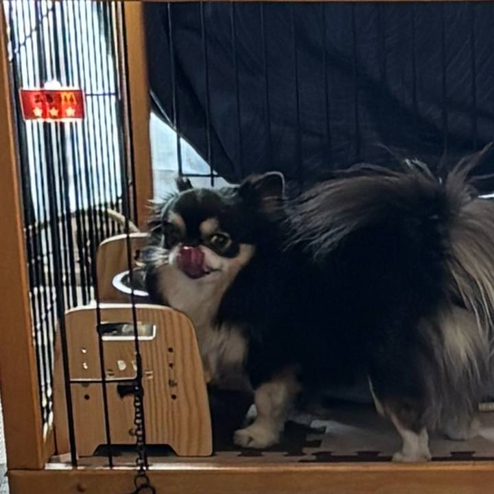 90e392b0 a62a 46b8 96e2 0e4fc3350635 1769052703595