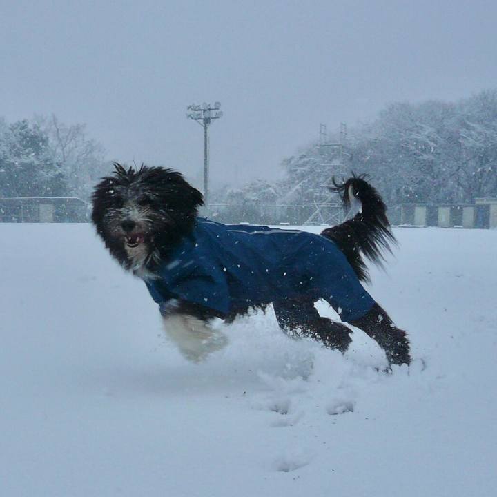 90e3c1ee 8823 44aa bd03 8f6ac300a9c9 1517094142315