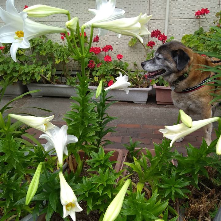 90e3e1e4 af9f 4866 a5e1 635420ac3369 1559866979027