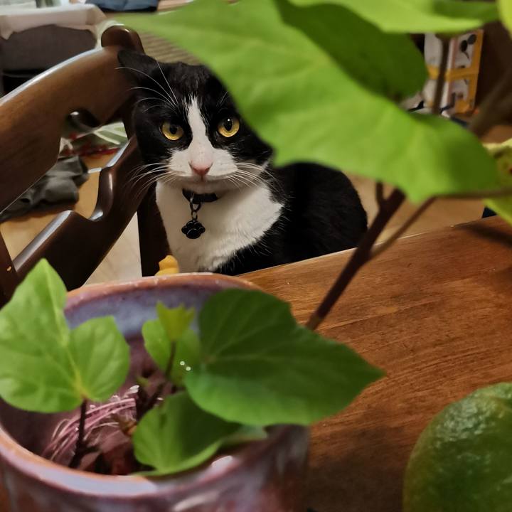 90e3eb1e c02d 4d7e 9e48 2fdff1f53388 1604918568109