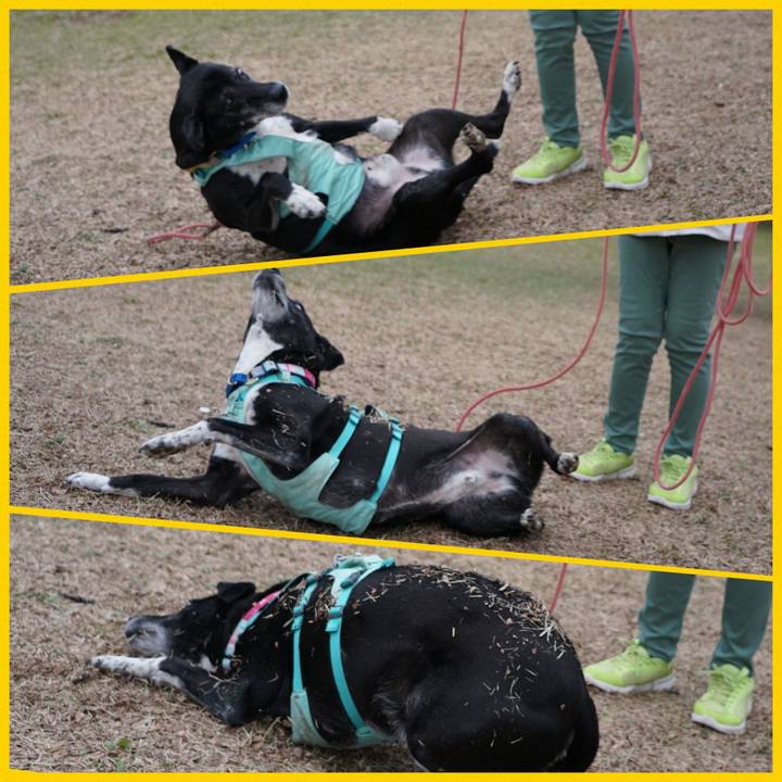 90e3ef49 da90 4edd bab4 9d17af9a25b2 1773709076342