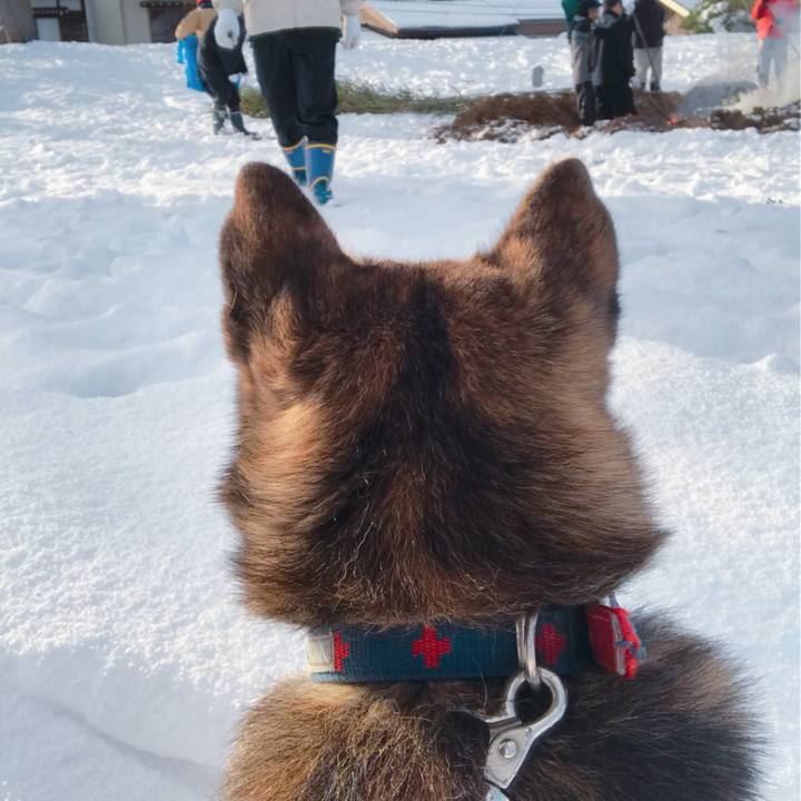 90e3fcca dd79 4170 a1fe b64c30f5e371 1515890598949