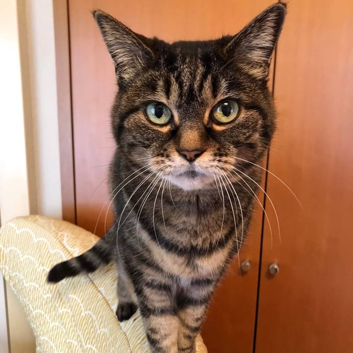 90e4155d e655 4bfd a3b2 4a2e665dc050 1773379567534