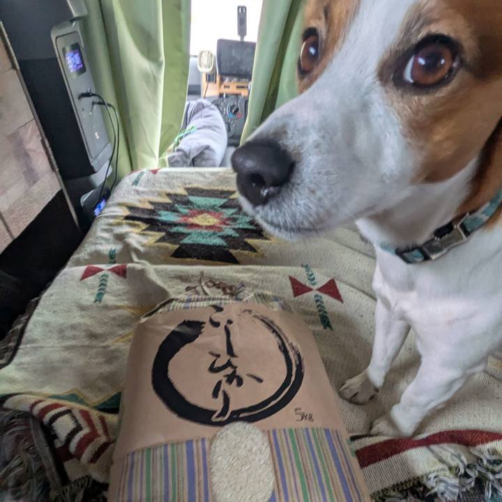 90e42d1a 49c4 48fb aeab 3edc16c56157 1743833284189