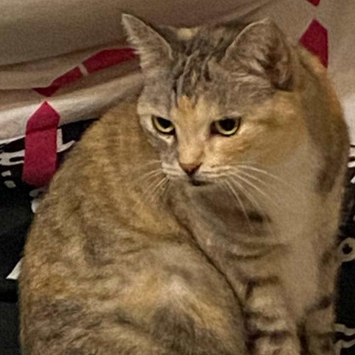 90e42f67 b877 41a0 8c4e 6a562c3f8295 1664128671720