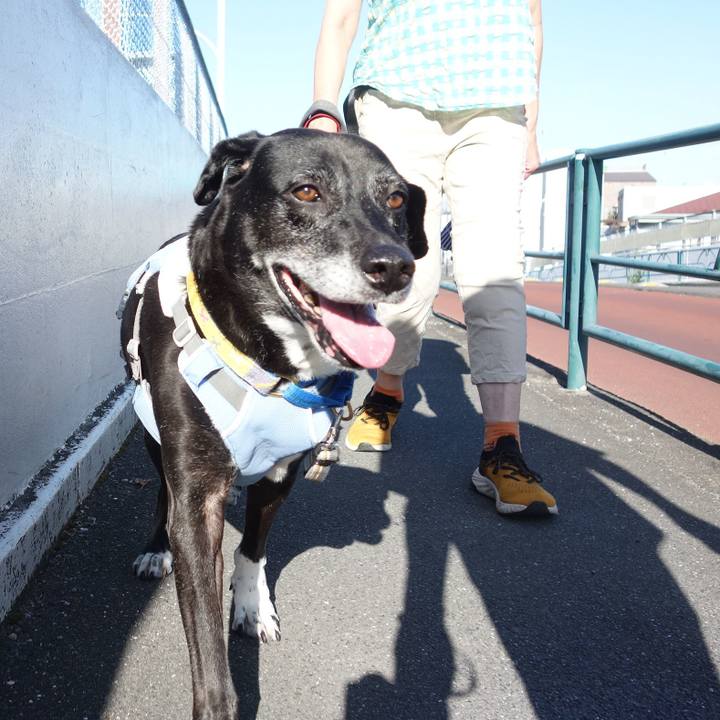 90e44b72 4abb 4be3 a48e 5f69bdb15e43 1752968387808