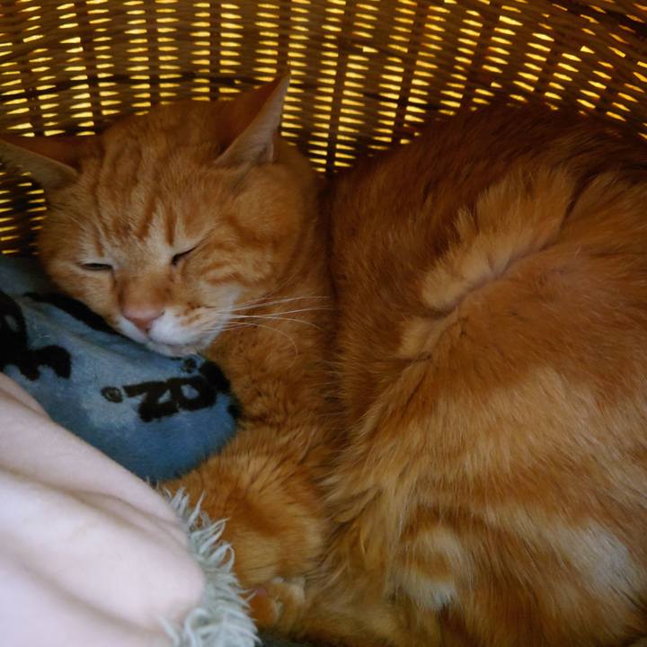 90e45e42 497a 4bd5 8998 2bfde256872d 1746059404584