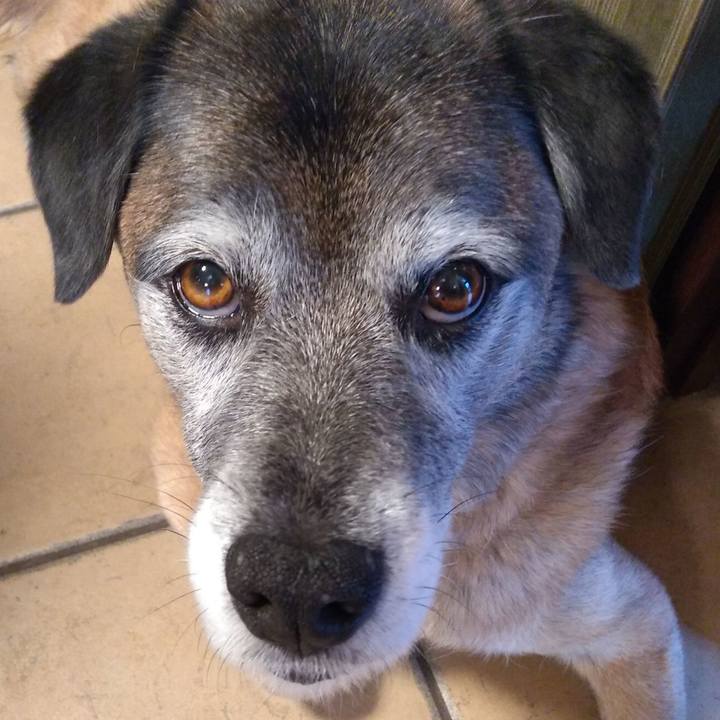 90e471d8 524d 4e84 94ff cfddca6cd0c2 1549582286622