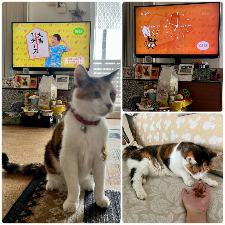 90e47221 077a 4059 b425 e863aac057d0 1691362812587