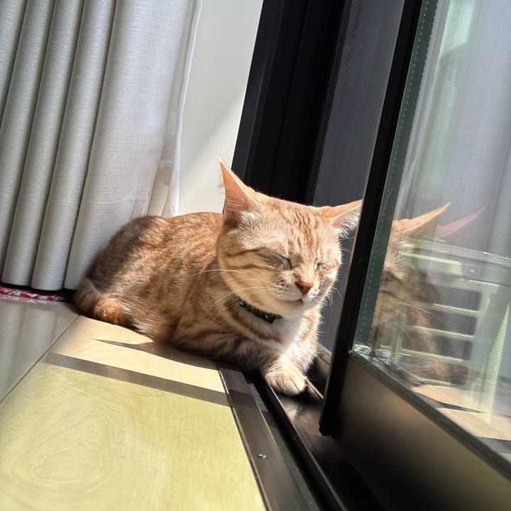 90e483a3 b6cb 419b ae12 588d48e982c0 1746330304809