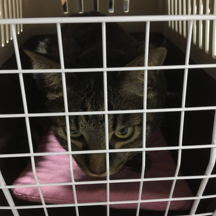 90e49d6d b37d 45cd 84e8 953731000df1 1522796862658