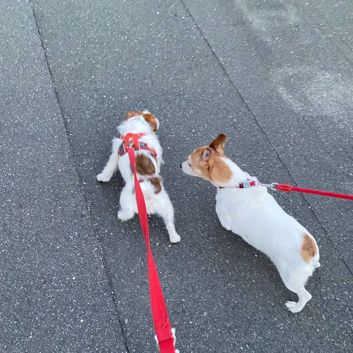 90e49e11 0348 4cef 9506 c766acf1e46c 1674386049322