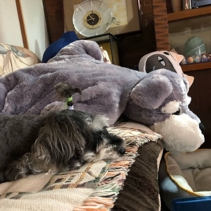 90e4d5f1 bdab 4f24 96c4 3bf25f987bd7 1536386850233