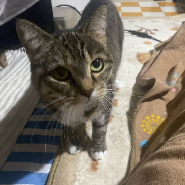 90e527cd 5040 40ee 9aec 709b8b031ec4 1740919548688