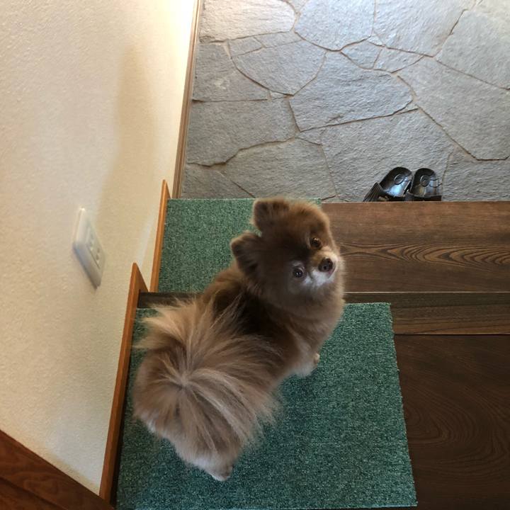 90e55837 03cd 4556 b1f8 c07b5a497536 1558943517906