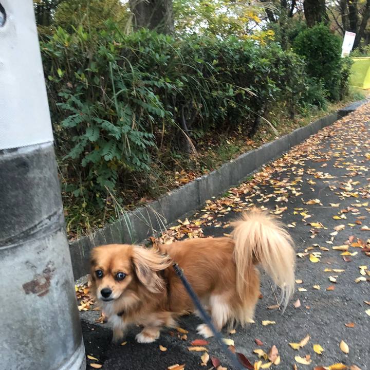 90e5644f 9986 449d a193 c015b61a4220 1541714802866