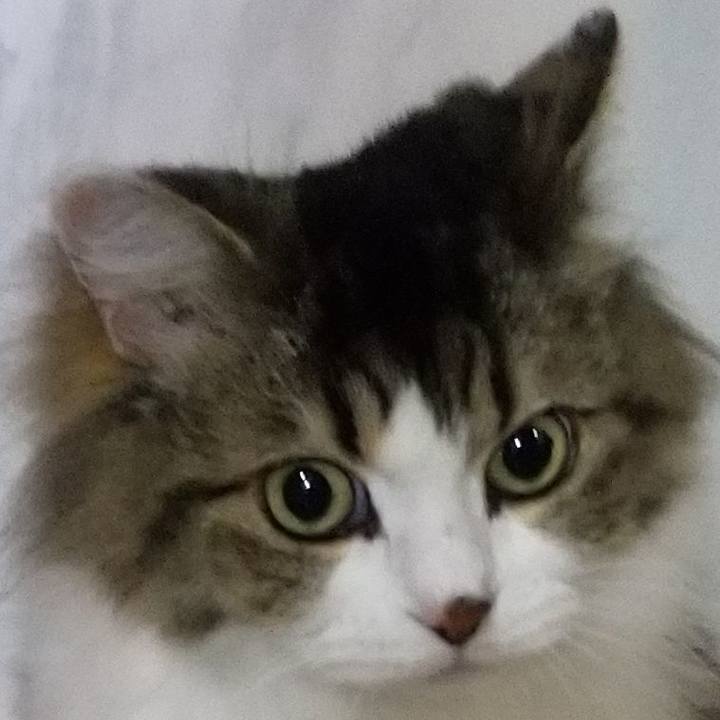 90e58a00 7838 4f2b ada8 f8555b861fa3 1564789399602