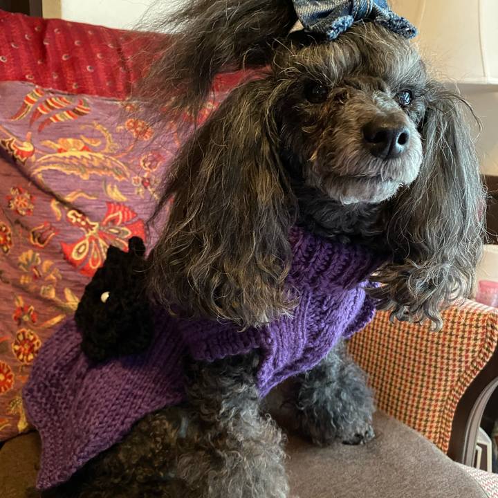 90e599ac 2f7f 4fdd 9eb9 6b29ecc70695 1707647961933