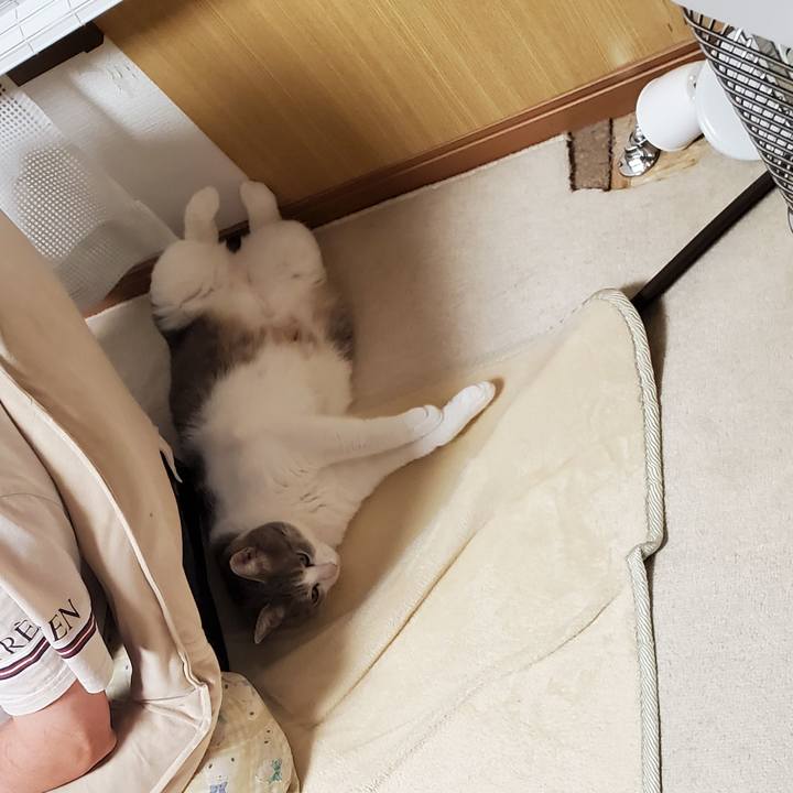 90e5ec08 64ca 4727 bc37 6594c6503d51 1703849437624