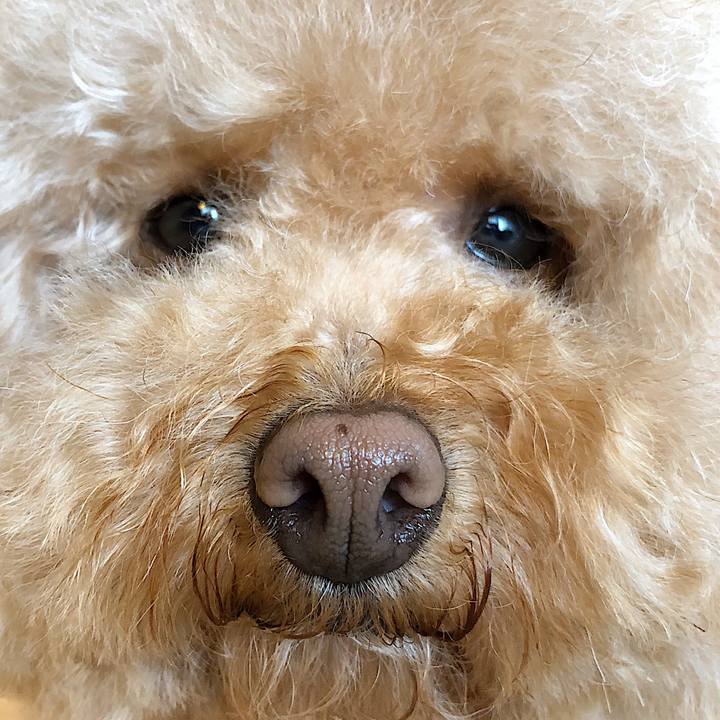 90e5fd39 cc2c 4ab2 b79b e177a0a51629 1523759025762