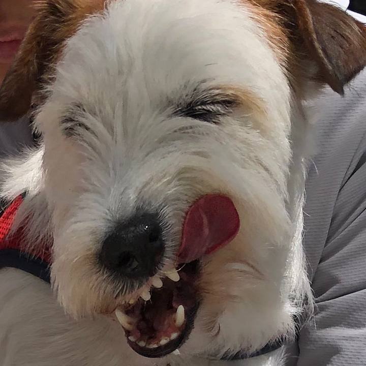 90e5ff0f dc46 4999 abeb f16a7e00edaa 1619231626512