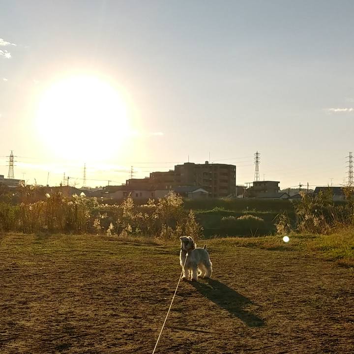 90e63976 3a04 428f 9792 36e065d8fe3e 1541196048095