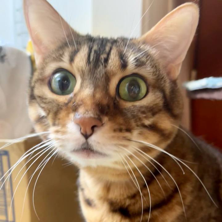 90e651f5 8b26 4d33 95e7 bf761757972d 1644709246315