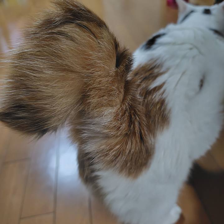 90e65cac f78b 40bc b7a2 40872c540cb0 1755690633704