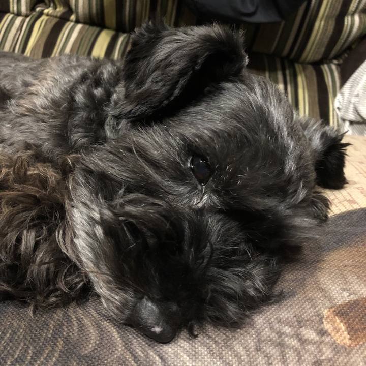 90e667f8 b66d 490d 88b8 c2285ecc4bb2 1583065306518