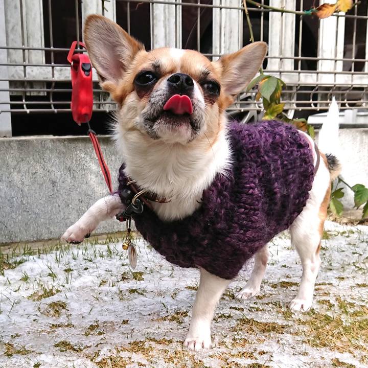 90e689b7 a40f 4eb1 8a43 e3d39564803f 1549785378154