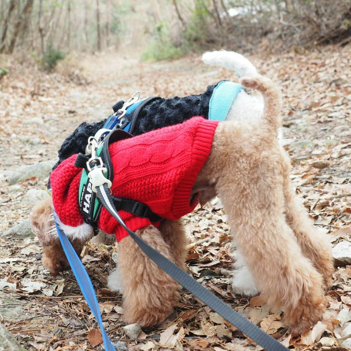 90e6a048 8b16 4a2a a285 34a301da6a27 1514327652880