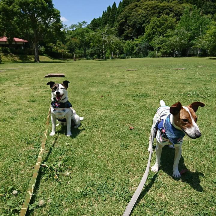 90e6d798 9f89 41ba 9d9f dde0c6236e74 1527928574040