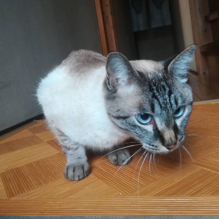 90e6f136 66f7 43b4 8912 97a56b3a78b1 1529466751765