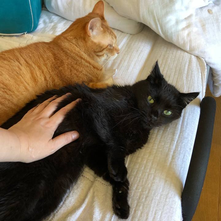 90e708f1 22cc 4ffe b004 8d6c89fc671d 1597192762932