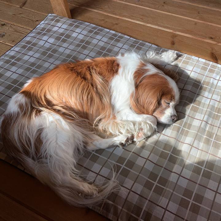 90e70c60 d507 4cd4 ad60 088717e89189 1583041283212