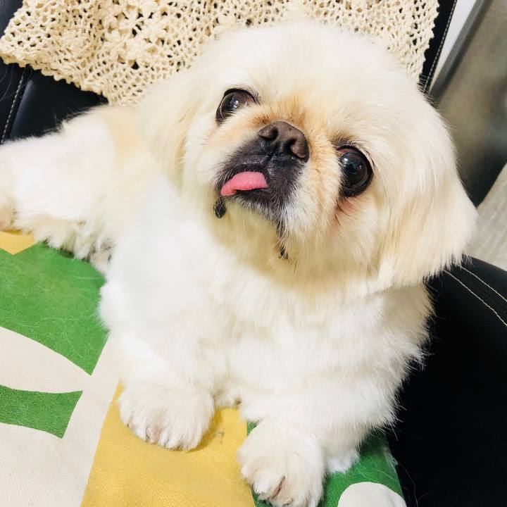 90e7663e 35d1 40a9 b204 27e3ba7b603e 1559489566923