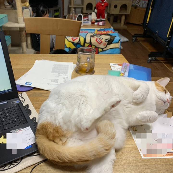 90e77b03 4be0 4415 9ed3 d5f70ee7a3ae 1577610108456