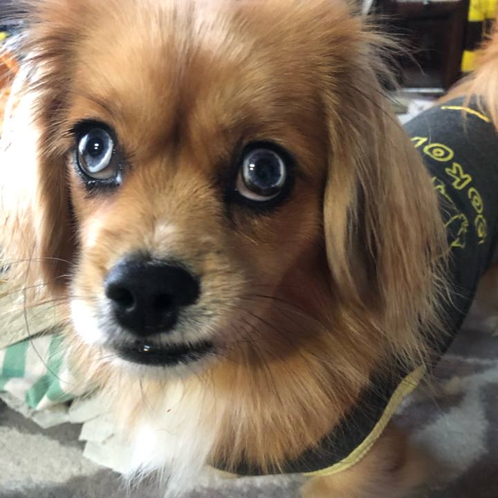 90e7893c 3e0f 4b14 9bcc e00c459cf316 1544313848613