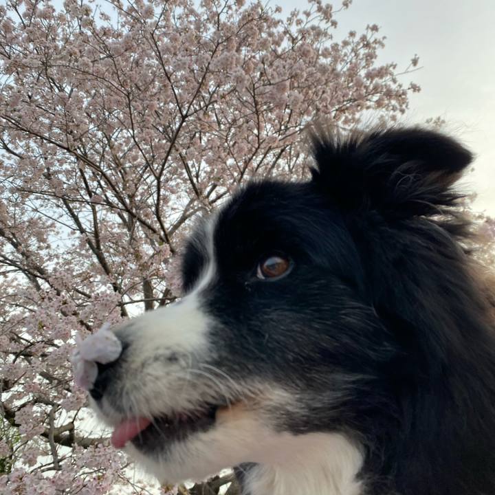 90e78b08 692d 48b8 b5ef e99913ef7196 1712268065221