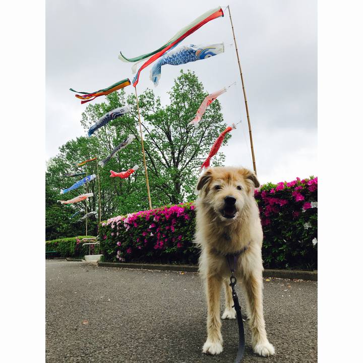 90e7aa1b 2f2f 48bc b1c3 da6ed694d284 1556073851994