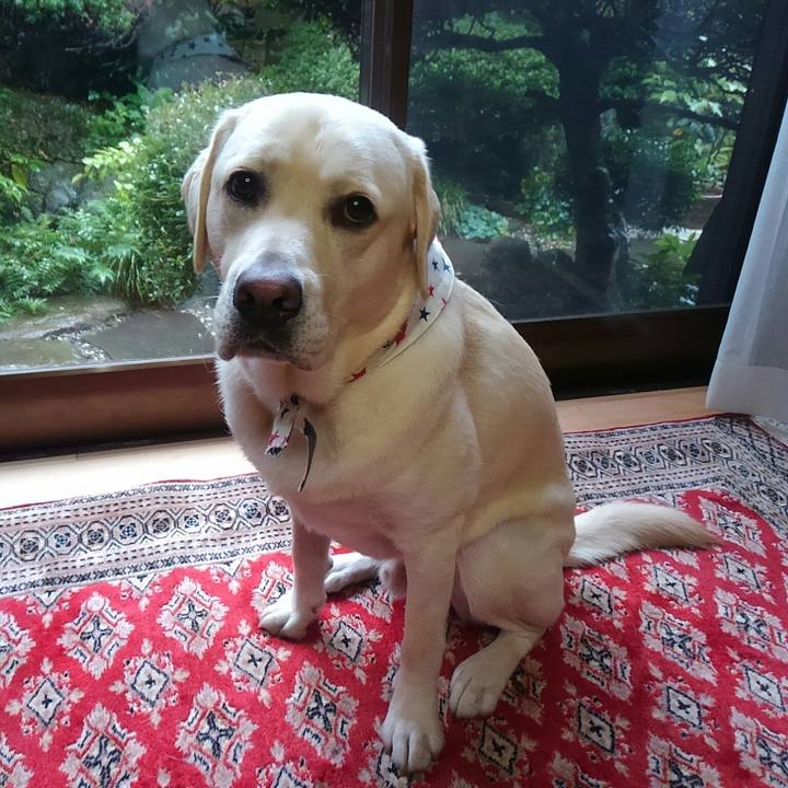 90e7e3fa ff63 41b8 b15f e3fb3128a4fb 1508373296479