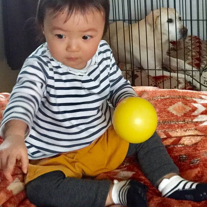 90e7fe20 f7f2 43e7 b4e5 f2a9a3149429 1514860778388