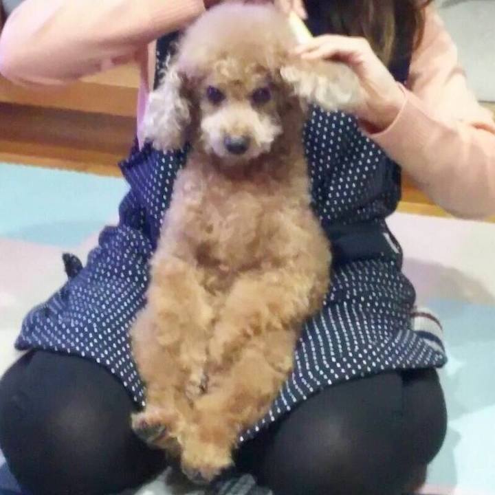 90e8035d ab10 4276 a094 95fafa50432c 1536935614126