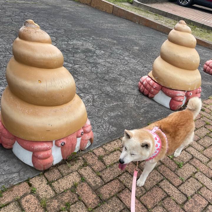 90e81ef5 4df1 4c4c 8f3a fb321d823337 1655617680650