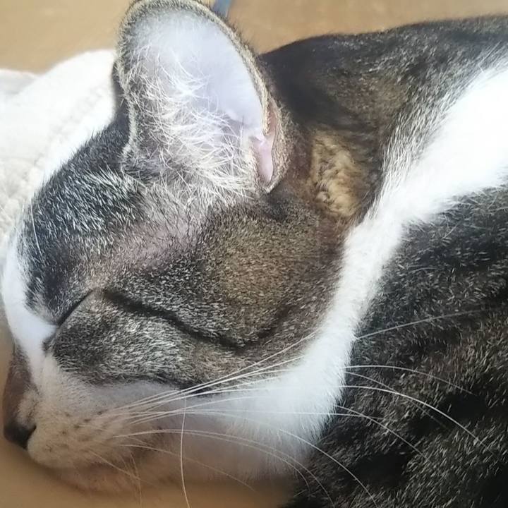 90e82c18 650f 4c73 94c3 6f67e31768f7 1610761653340