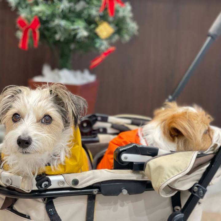 90e83312 9b8e 4143 8ef7 c3e202f710d3 1764723399702