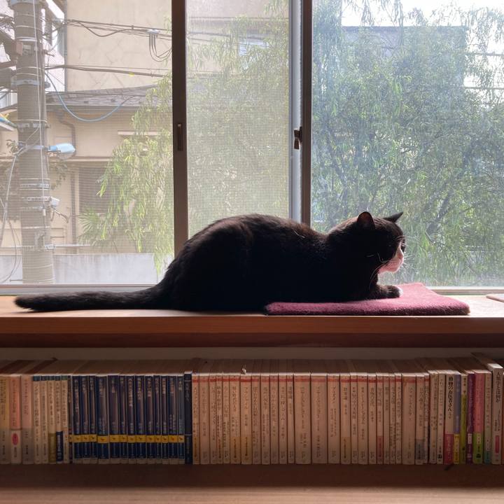 90e84146 7816 43ff 8f27 02e5df04c105 1632833276755